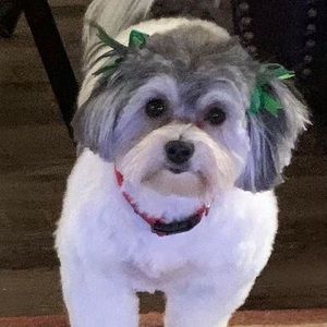 Meet your Posher, Wanda